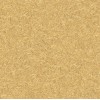 Lilycolor | Will | LW-267
