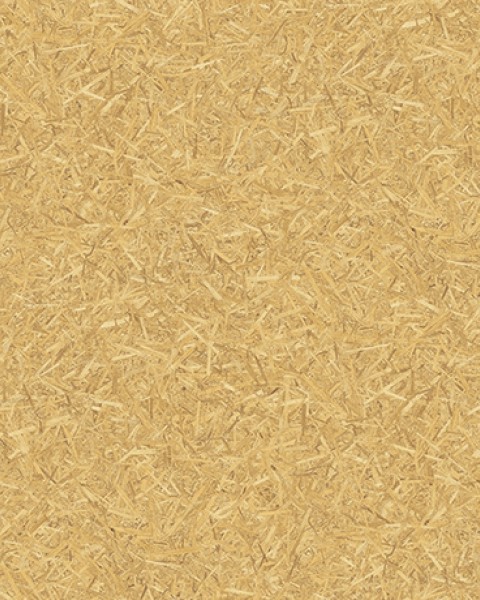Lilycolor | Will | LW-267