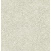 Lilycolor | Will | LW-268