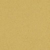 Lilycolor | Will | LW-277