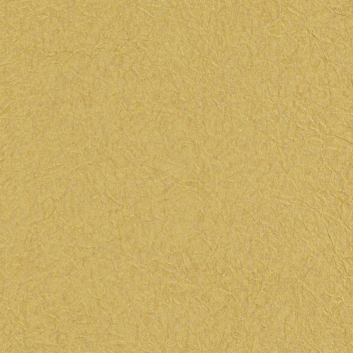 Lilycolor | Will | LW-277