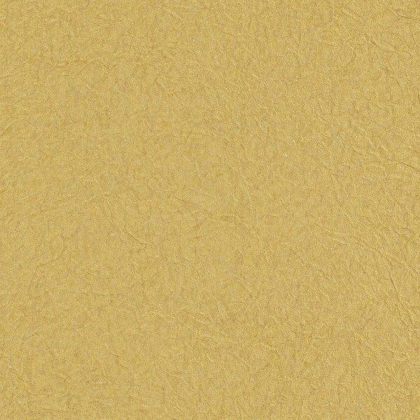 Lilycolor | Will | LW-277
