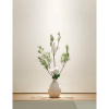 Lilycolor | Will | LW-283