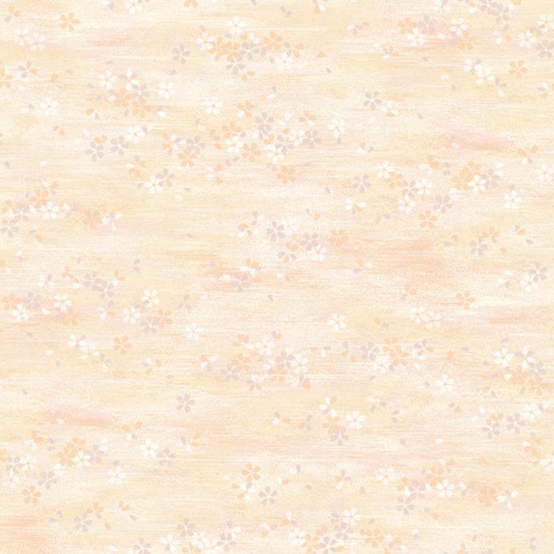 Lilycolor | Will | LW-284