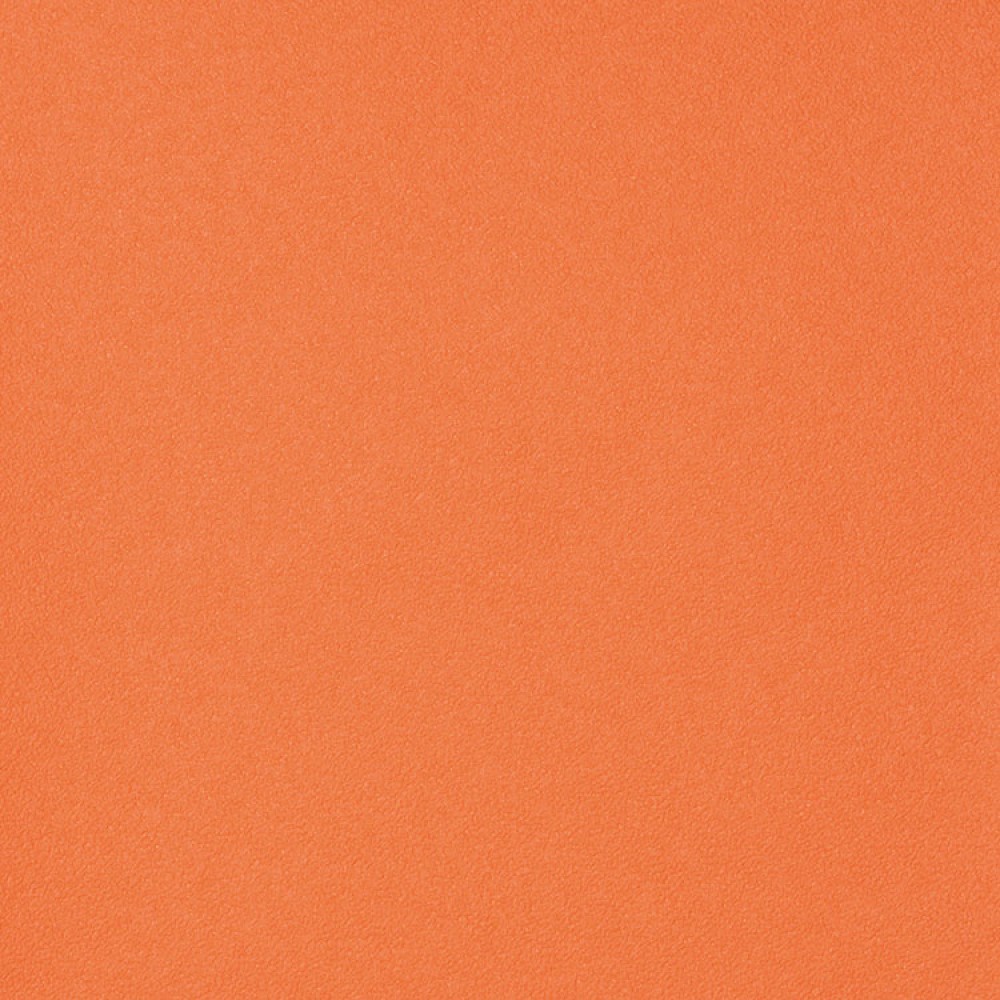 Lilycolor / Plain Orange LW4697