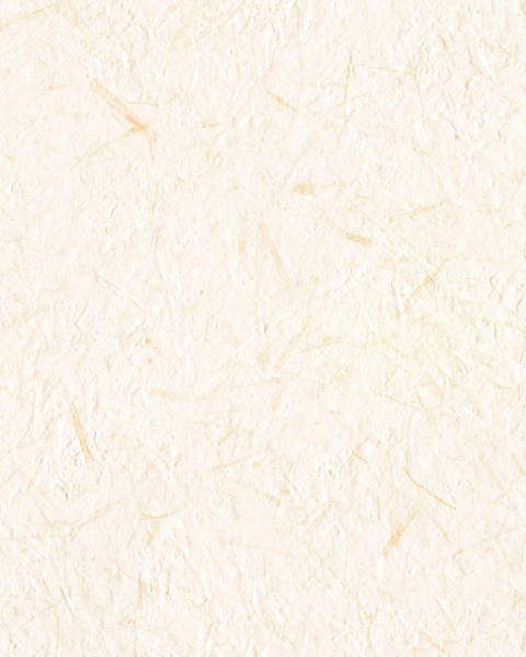 Lilycolor | Will | LW-287