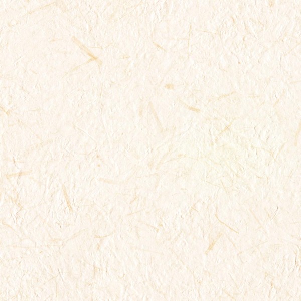 Lilycolor | Will | LW-287