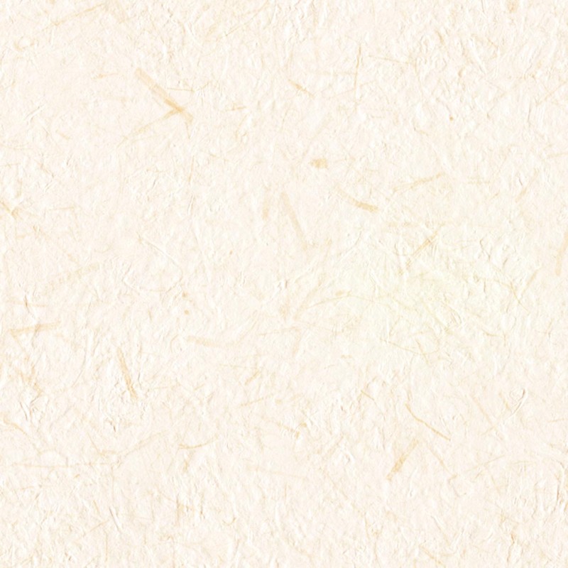 Lilycolor | Will | LW-287