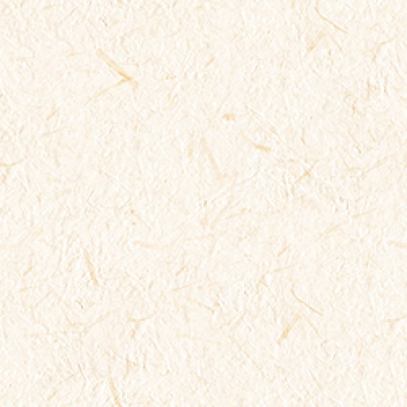Lilycolor | Will | LW-287