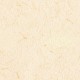 Lilycolor | Will | LW-288