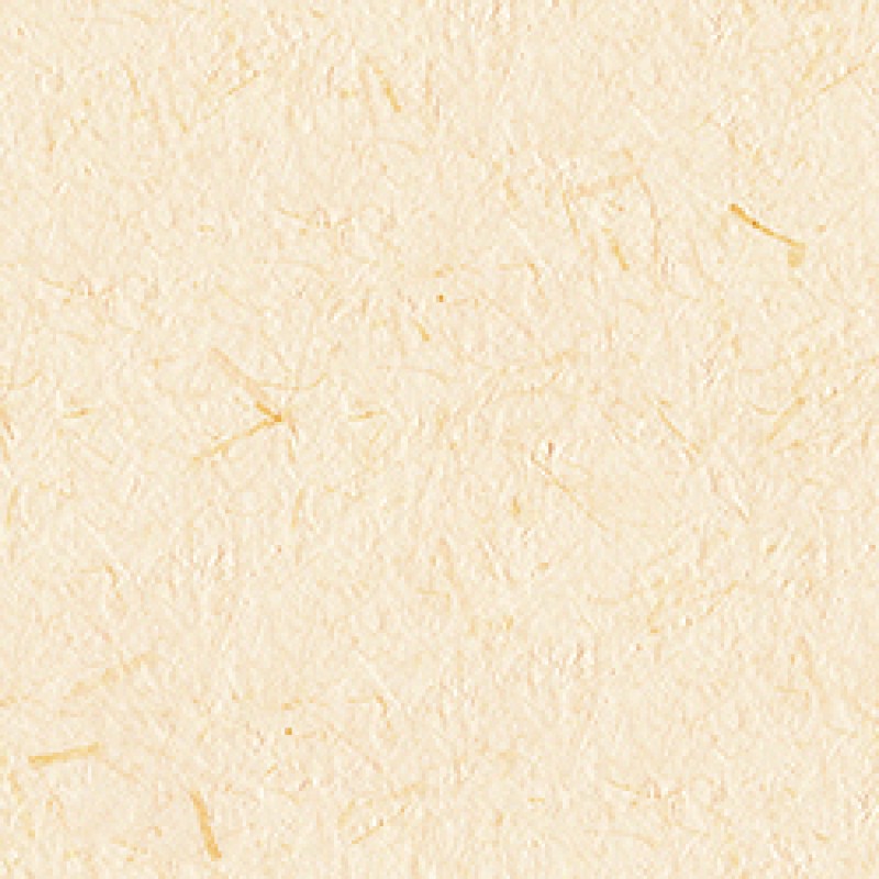 Lilycolor | Will | LW-288