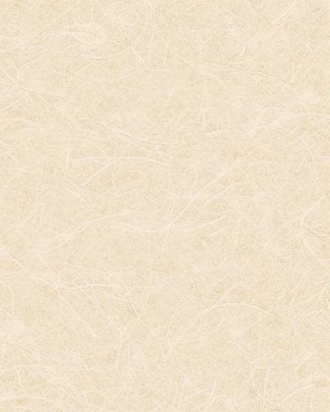 Lilycolor | Will | LW-289