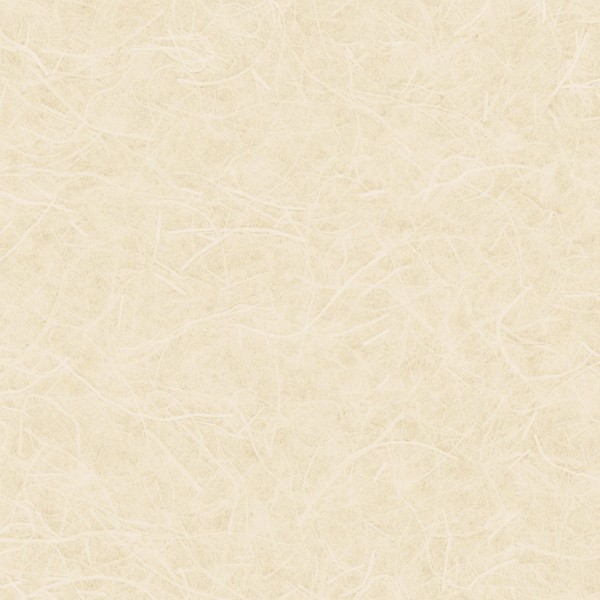 Lilycolor | Will | LW-289