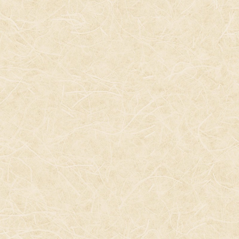 Lilycolor | Will | LW-289