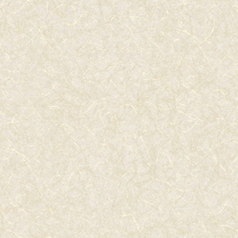 Lilycolor | Will | LW-289
