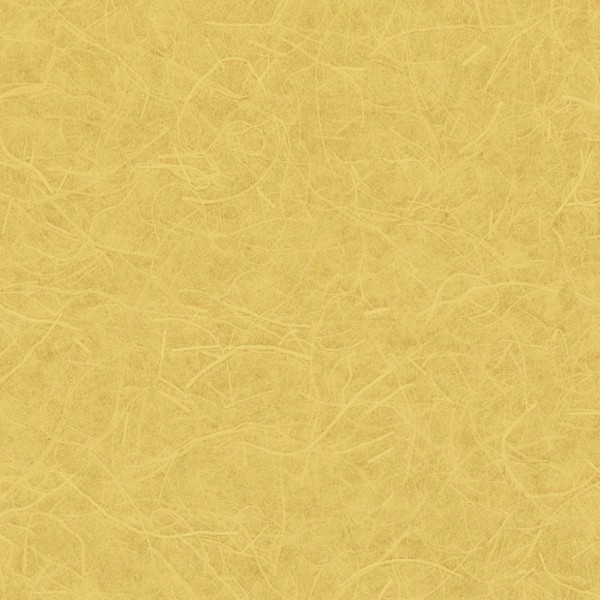 Lilycolor | Will | LW-290