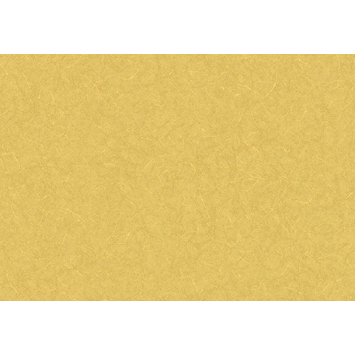 Lilycolor | Will | LW-290