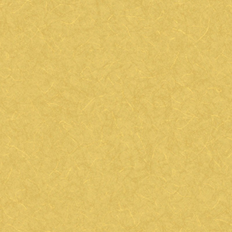 Lilycolor | Will | LW-290