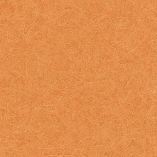 Lilycolor | Will | LW-291