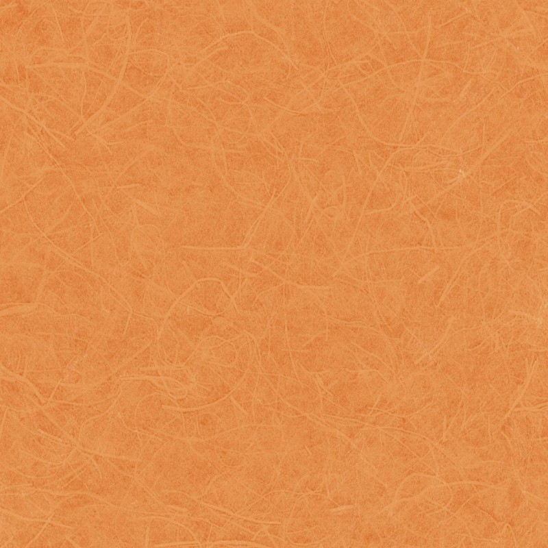 Lilycolor | Will | LW-291