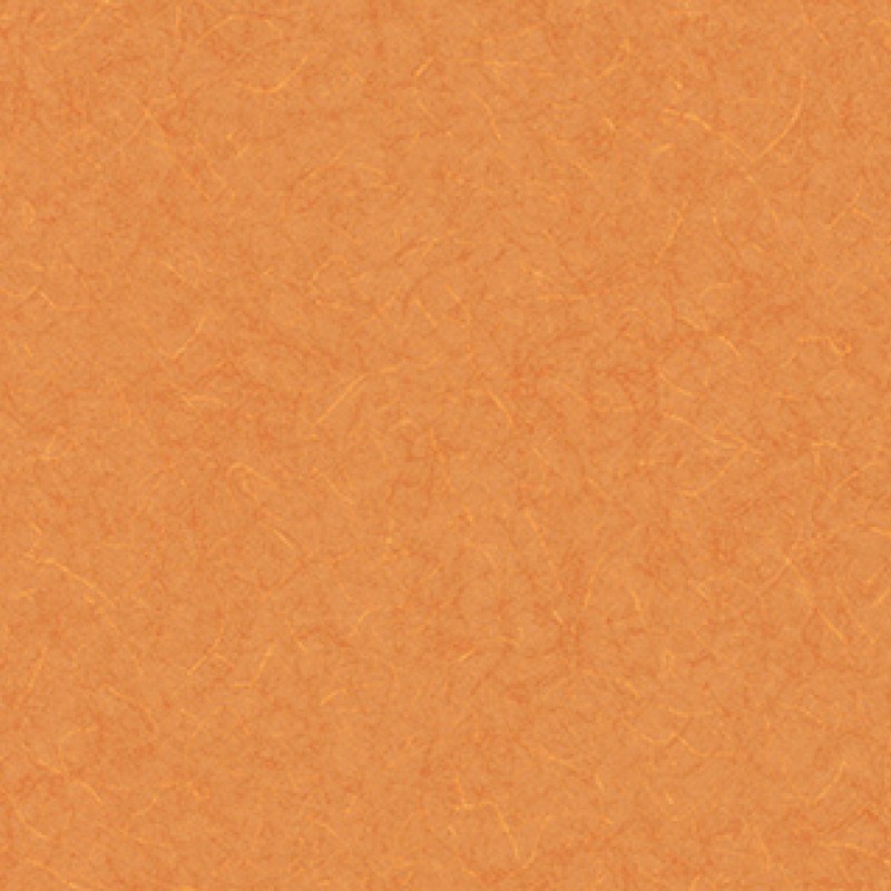 Lilycolor | Will | LW-291
