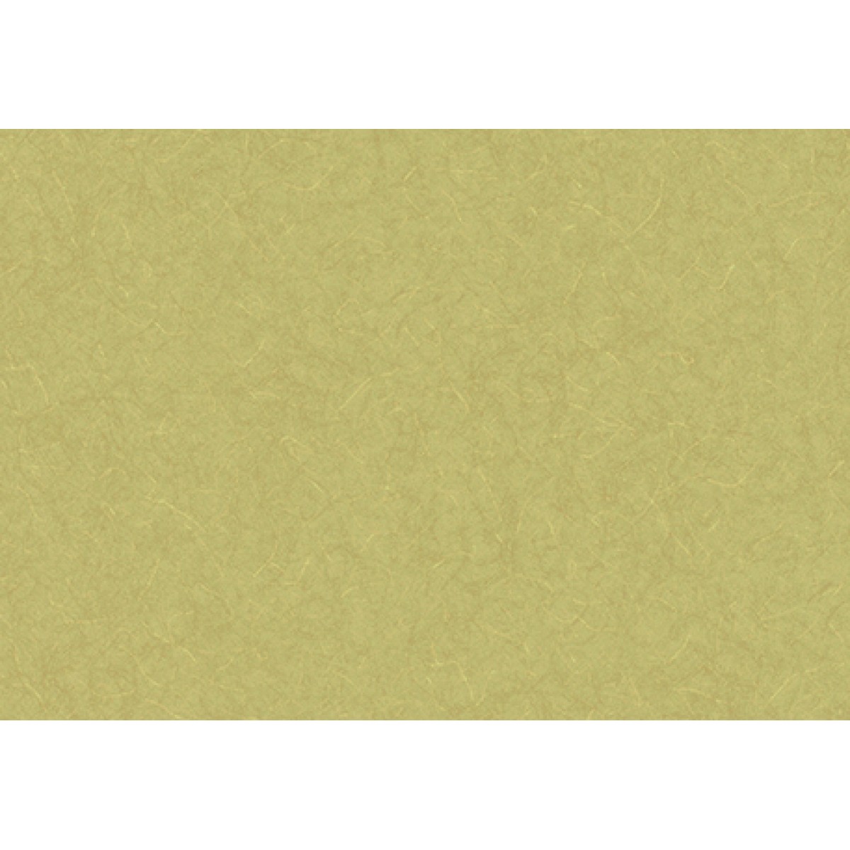 Lilycolor | Will | LW-292