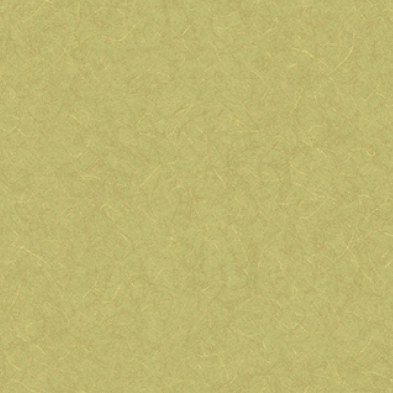 Lilycolor | Will | LW-292