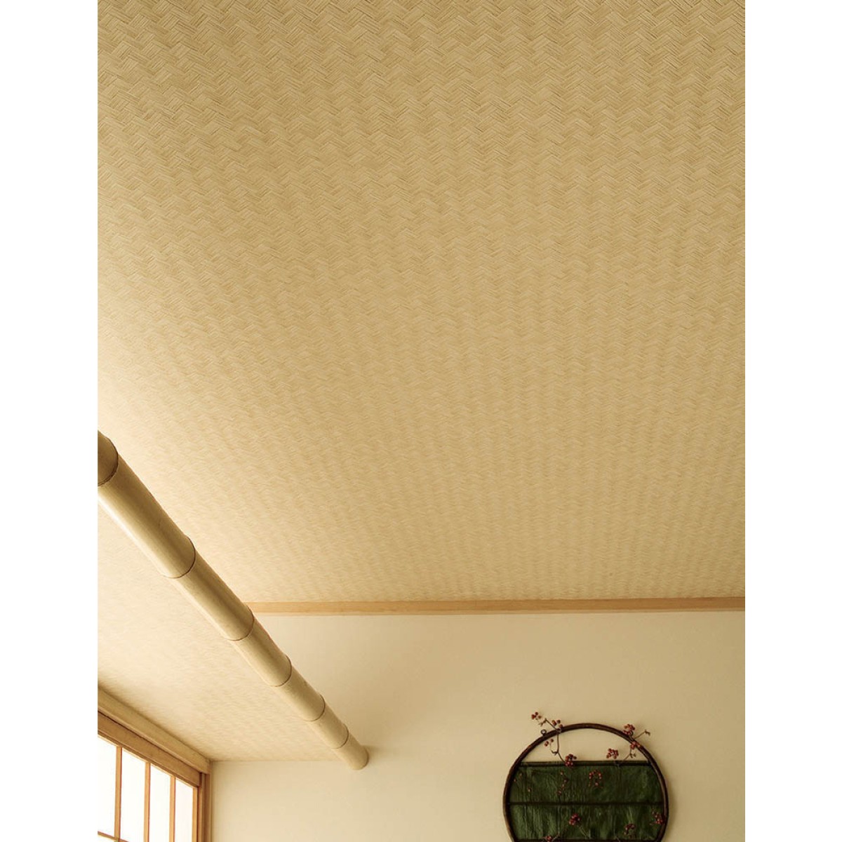 Lilycolor | Will | LW-305