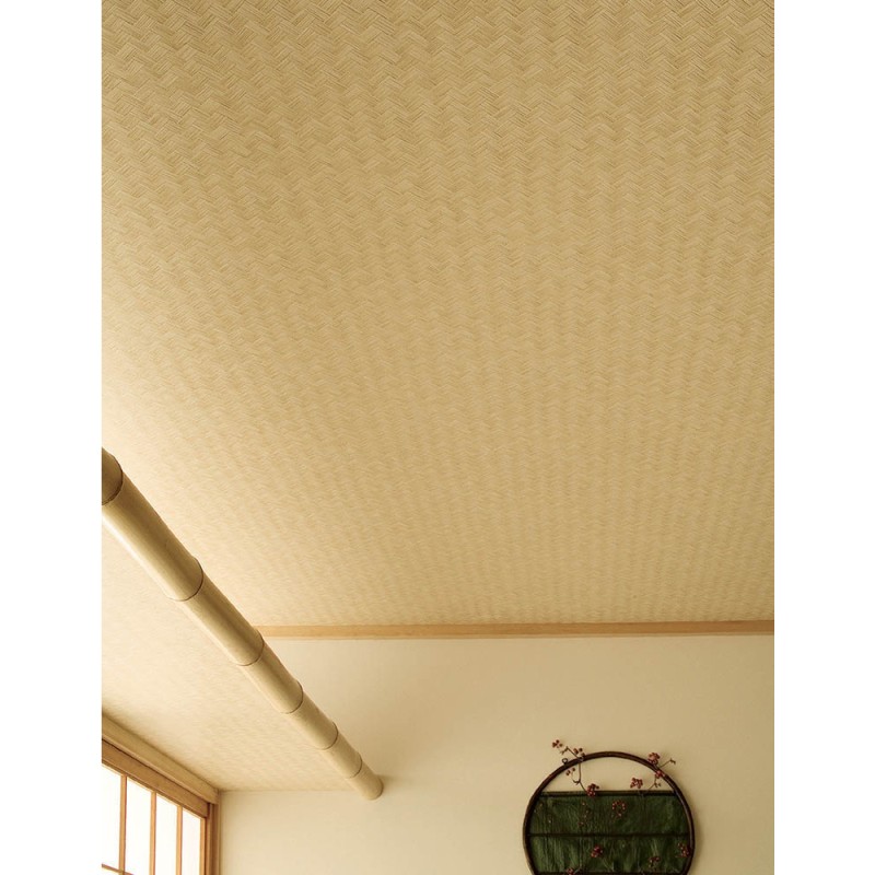 Lilycolor | Will | LW-305