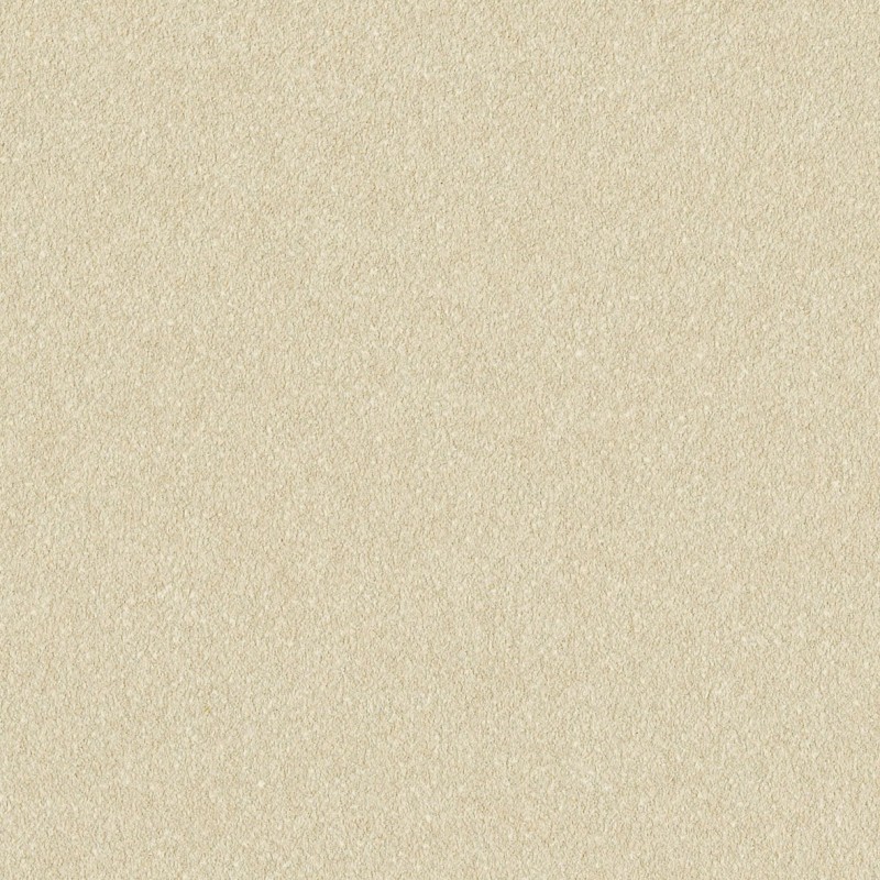 Lilycolor | Will | LW-391