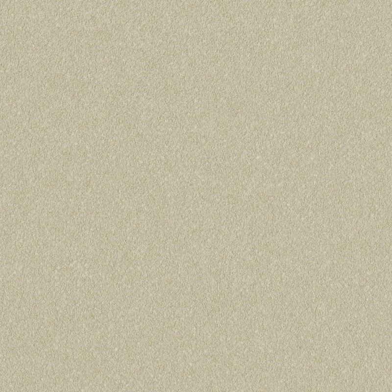 Lilycolor | Will | LW-392