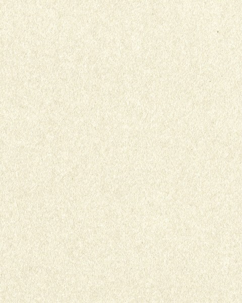 Lilycolor | Will | LW-393