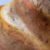 Lusoluxe Imperial | Abstract Fluid Element
