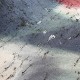Lusoluxe Imperial | Abstract Painting II