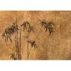 Lusoluxe Imperial | Bamboo Forest