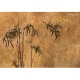 Lusoluxe Imperial | Bamboo Forest