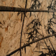 Lusoluxe Imperial | Bamboo Trees