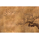 Lusoluxe Imperial | Branch & Wing