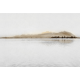 Lusoluxe Imperial | Calm Lake Reflections
