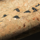 Lusoluxe Imperial | Branch & Wing