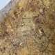 Lusoluxe Imperial | Gritty Texture