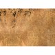 Lusoluxe Imperial | Hanging Bamboo Branches