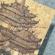 Lusoluxe Imperial | Palm Leaf Texture