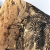 Lusoluxe Imperial | London Art The Leopard