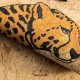Lusoluxe Imperial | Cheetah Motif Art