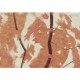 Lusoluxe Imperial | Textured Tree Lined