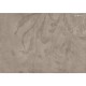 Lusoluxe Imperial | Textured Neutral Mural