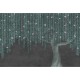 Lusoluxe Imperial | The Weeping Tree