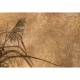 Lusoluxe Imperial | Whispering Grass