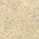 MARBURG | ESSENTIELL | 1134793